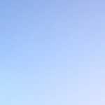 Spiritual Communication with a Goose
