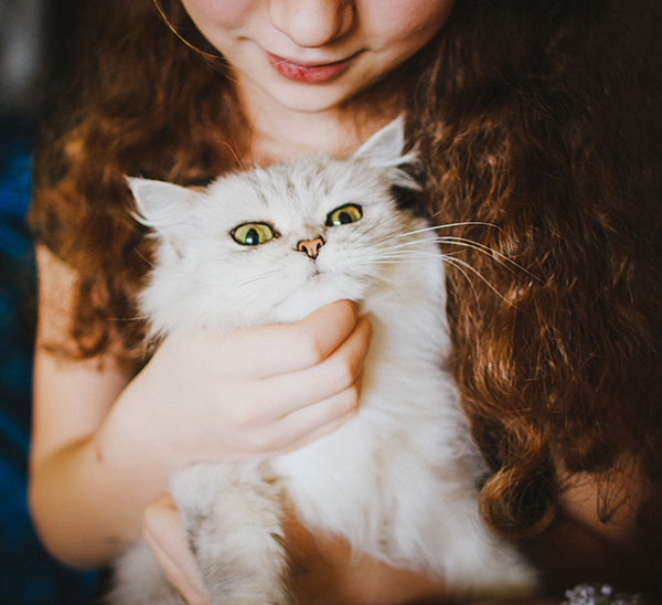 A Spiritual Master Helps a Veterinarian