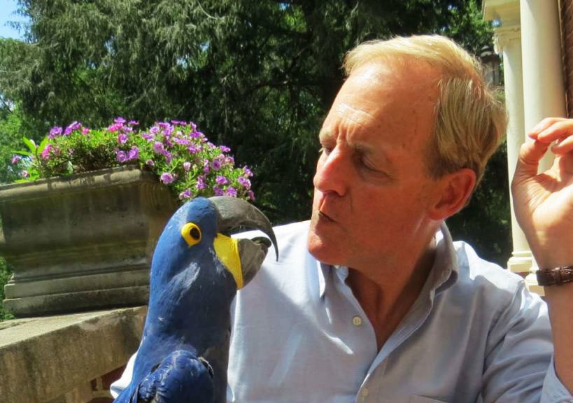 A Hyacinth Macaw’s Wings of Love