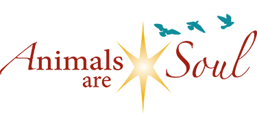 Animals Are Soul