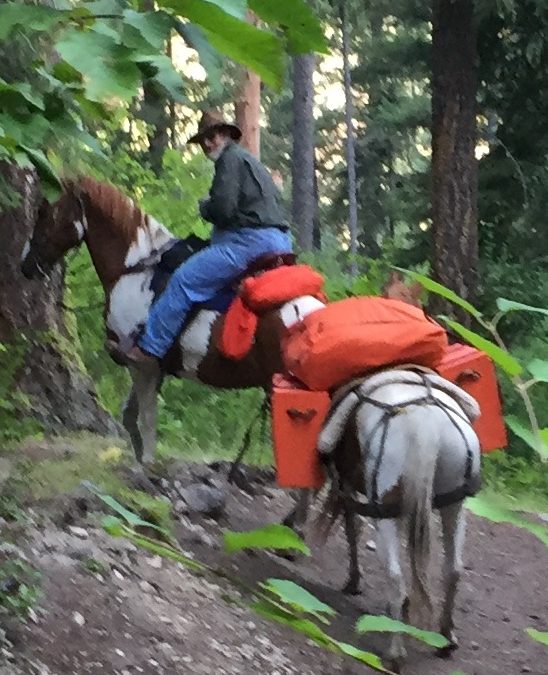 Singing “HU” to Horses