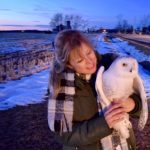 Adventure with a Snowy Owl