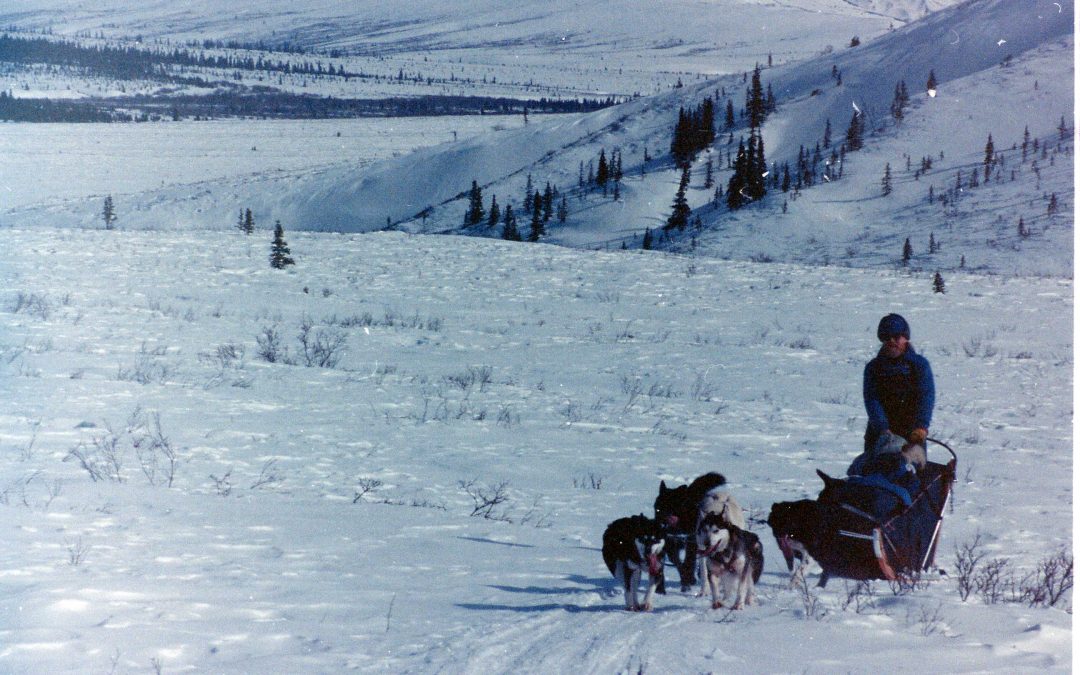 Releasing the Past with My Sled Dog