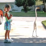 A Soul-to-Soul Connection with a Snowy Egret