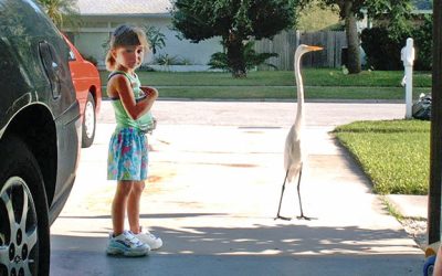 A Soul-to-Soul Connection with a Snowy Egret