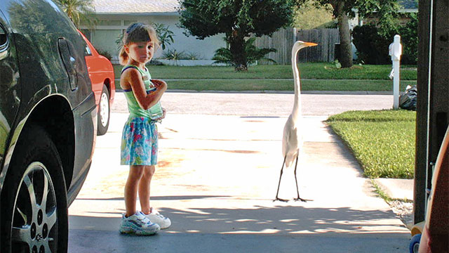 A Soul-to-Soul Connection with a Snowy Egret